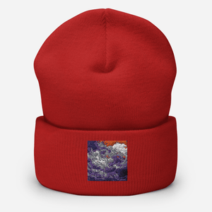 Storms Glory Cuffed Beanie - Cloutropolis